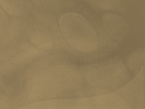 OCR识别的常见故障排查方法